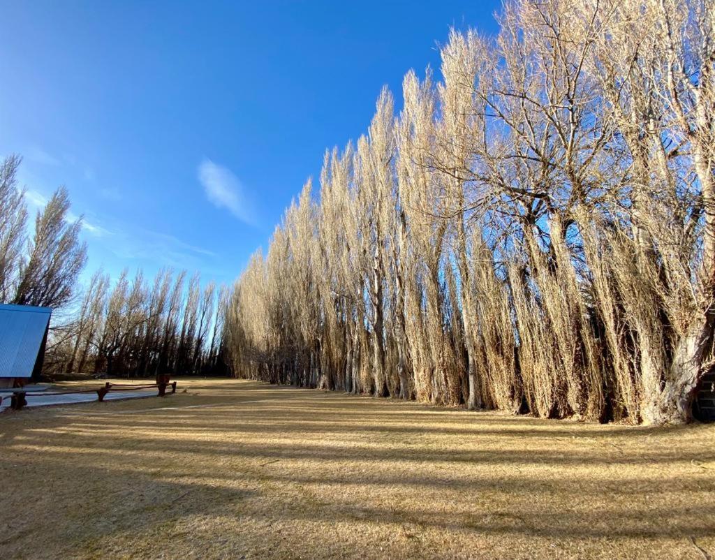 Hosteria & Cabanas Rio Fenix Perito Moreno Zewnętrze zdjęcie